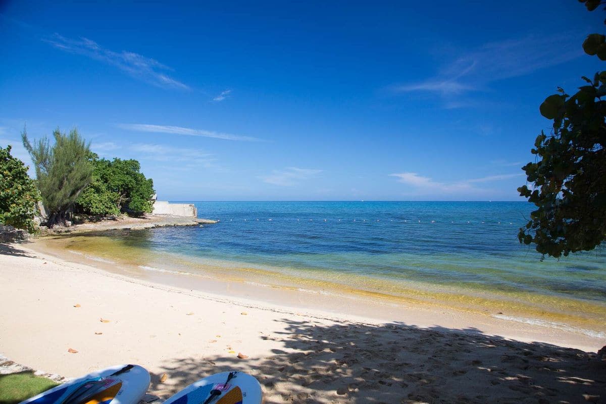 White-sand cove with clear turquoise water, framed by sea grape trees