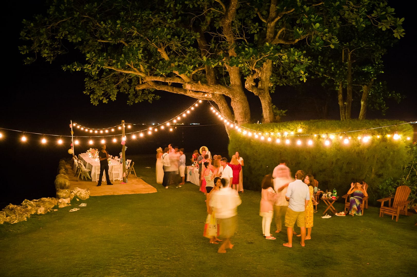 Guests on the lawn at night under strings of lights in the trees