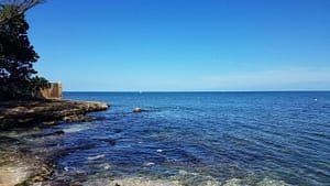 Overlooking the sea