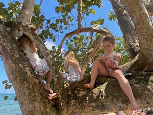 Girls in tree